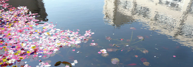 佐渡総合高等学校 学校長挨拶